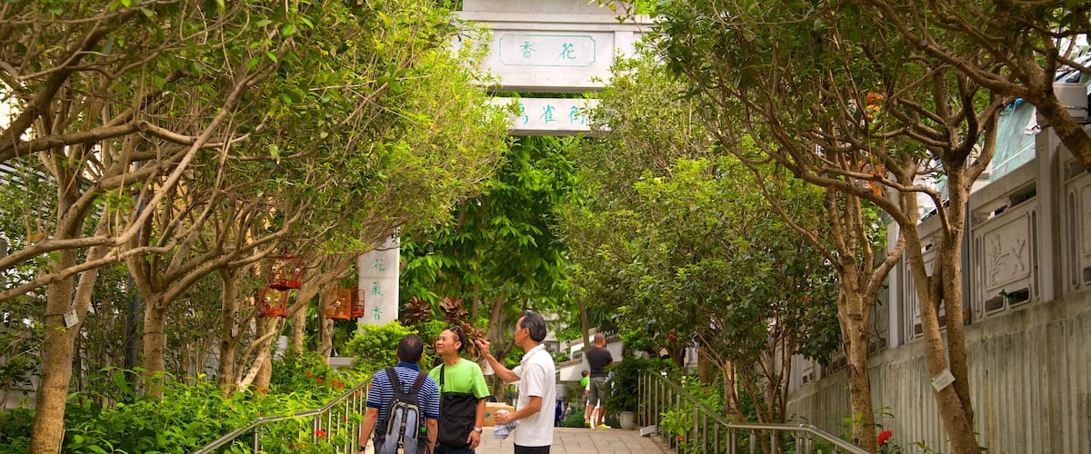 Yuen Po Bird Market which includes a park