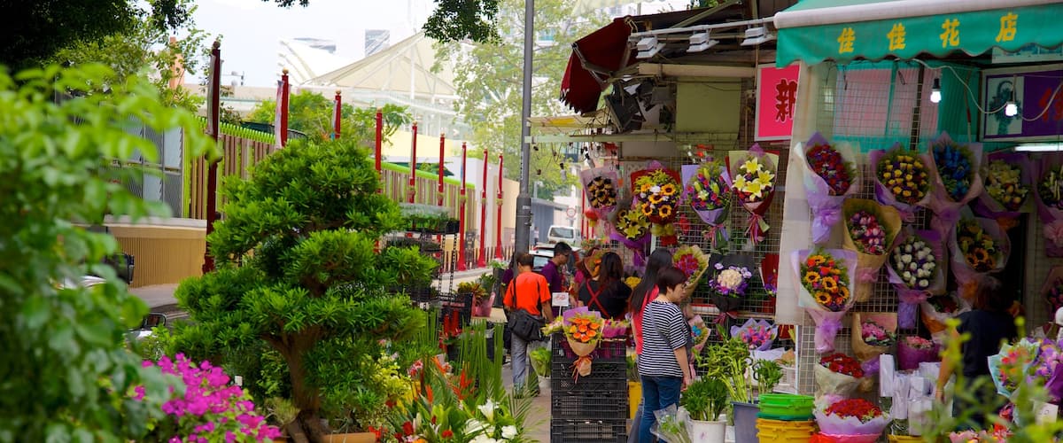園圃街雀仔街 其中包括 市場 和 花朵
