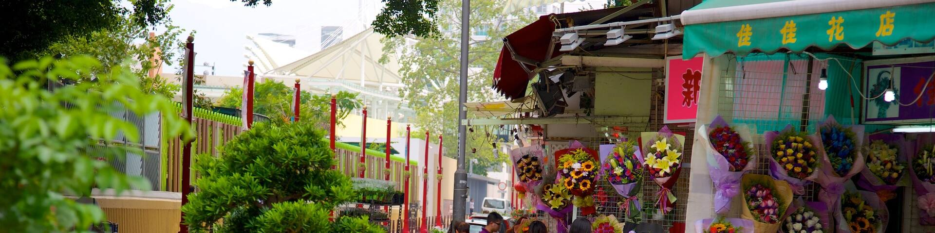 Yuen Po Bird Market showing flowers and markets