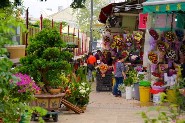 Marché aux oiseaux de Yuen Po mettant en vedette fleurs et marchés