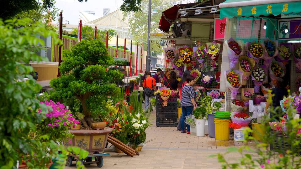 Yuen Po Bird Market showing flowers and markets