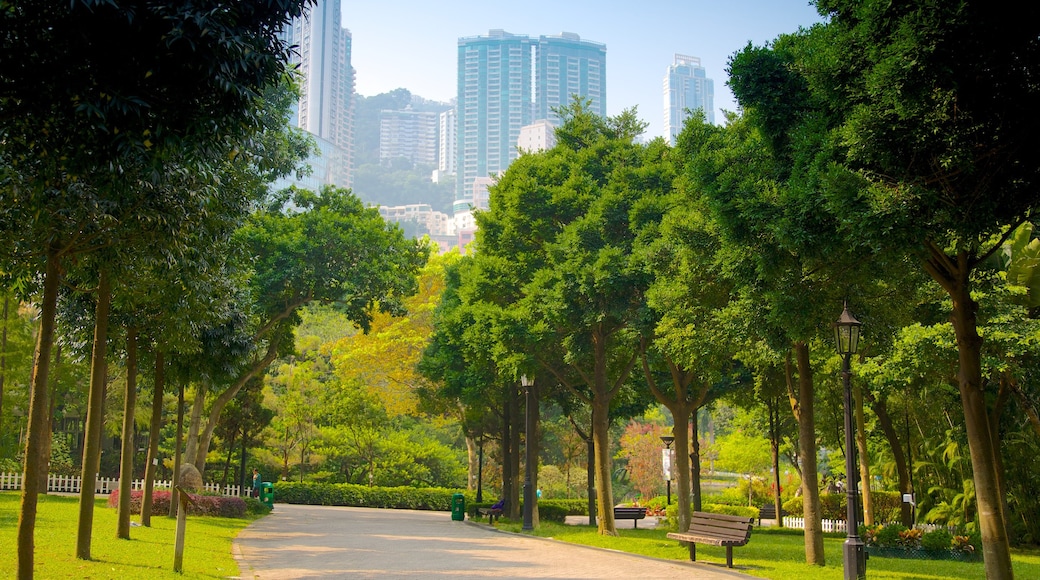 Hong Kong Park featuring a garden