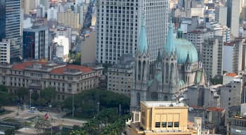 Sao Paulo showing cbd and a city