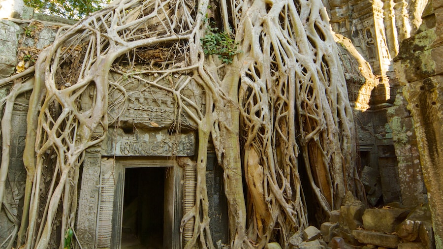 Ναός Ta Prohm