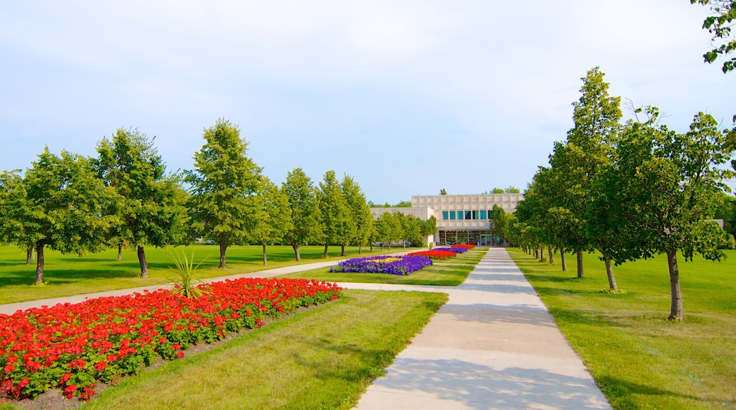 Regina montrant fleurs et parc