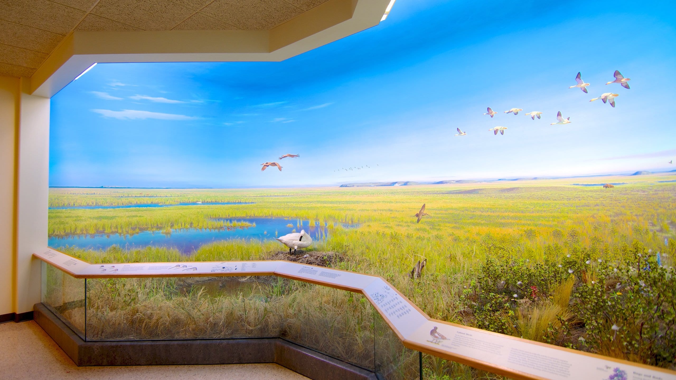 Royal Saskatchewan museum