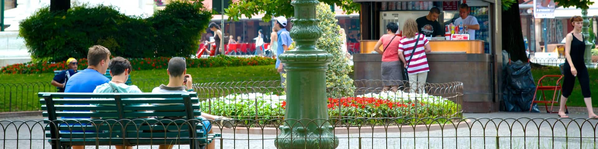 ブラ広場 表示 庭園 と 都市 及び 少数の人々
