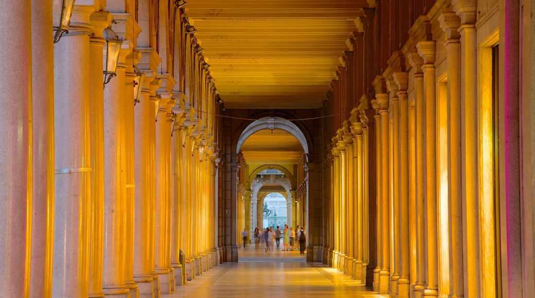 Turín que incluye vistas interiores y patrimonio de arquitectura