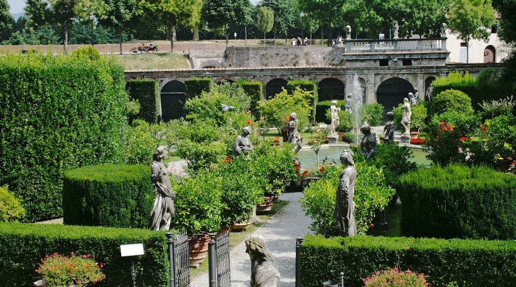 Lucca toont een park en een standbeeld of beeldhouwwerk