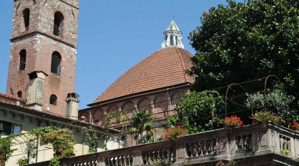 Lucca som viser historisk arkitektur og kirke eller katedral