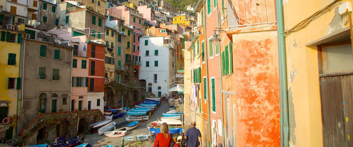 Riomaggiore which includes a small town or village