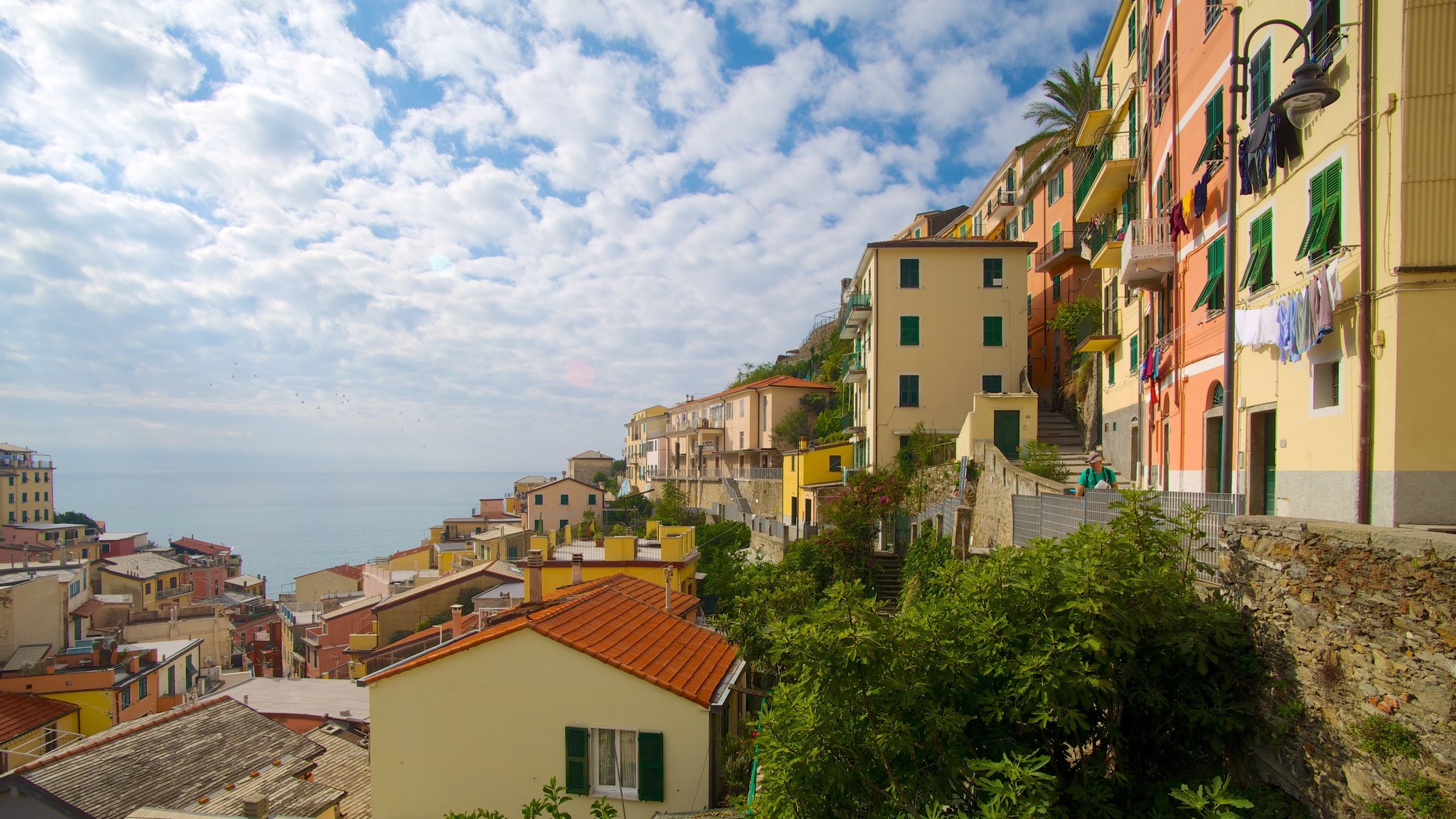 Riomaggiore showing a coastal town
