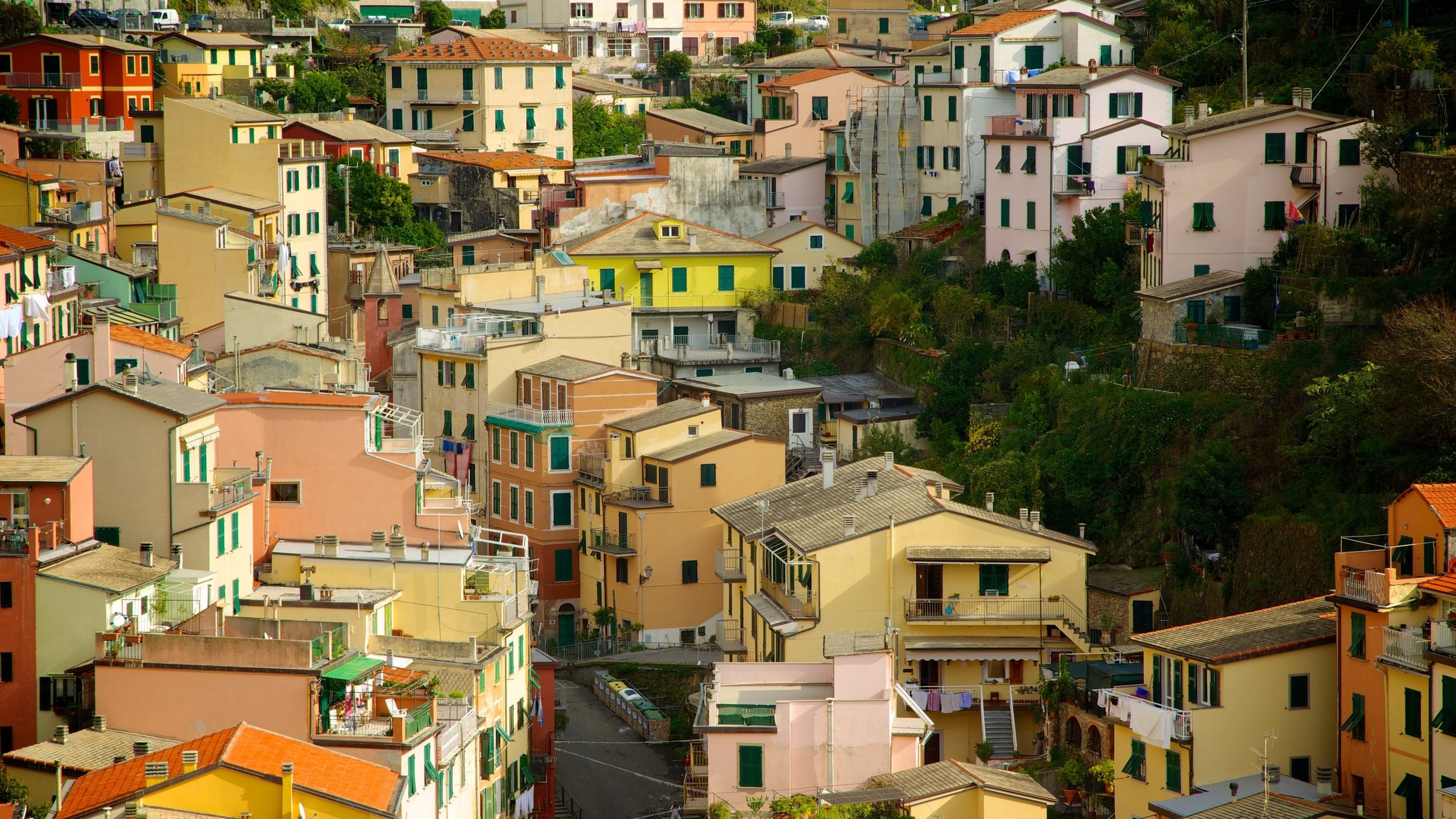 Riomaggiore featuring a city