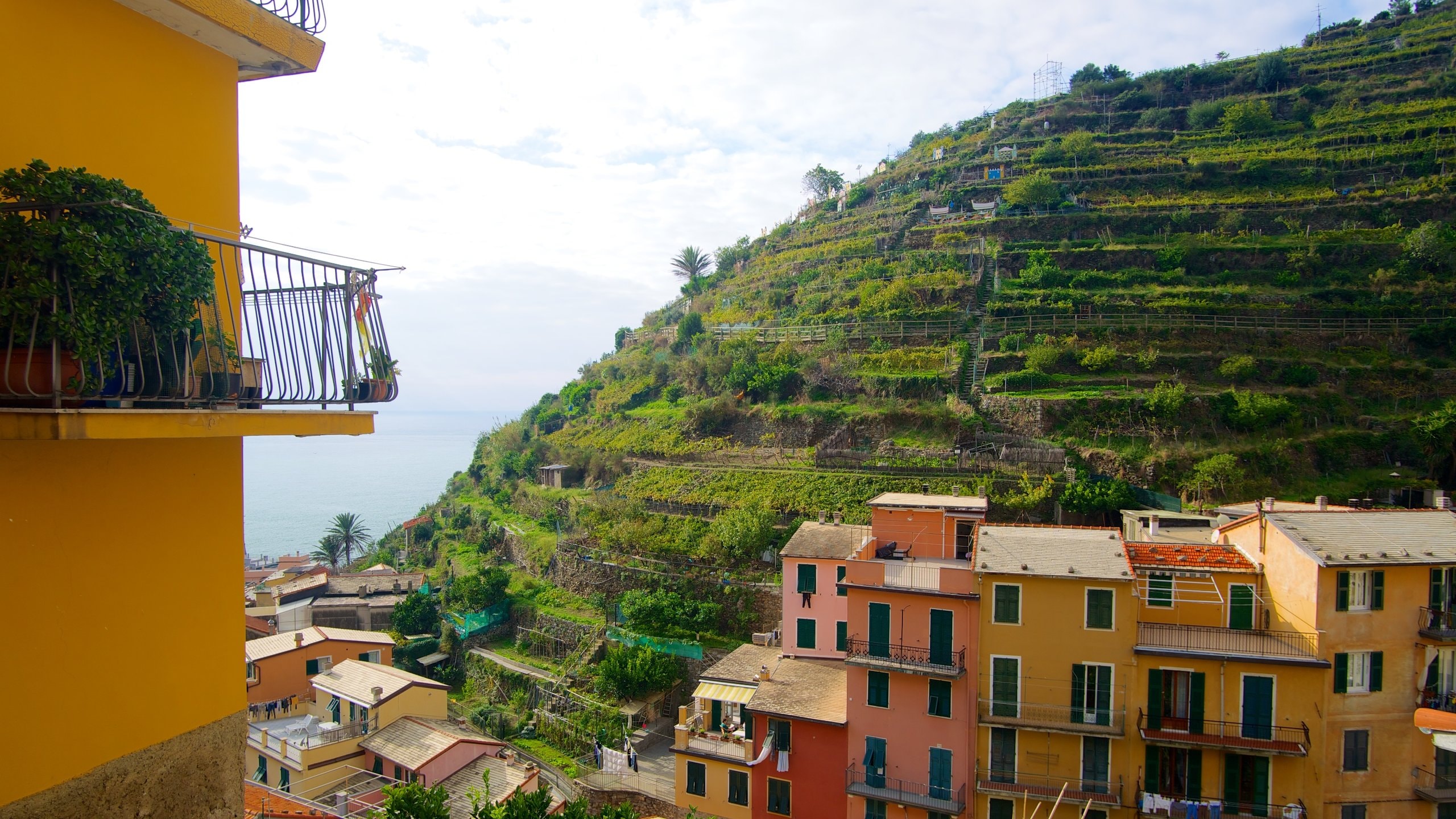 Manarola featuring a coastal town and mountains