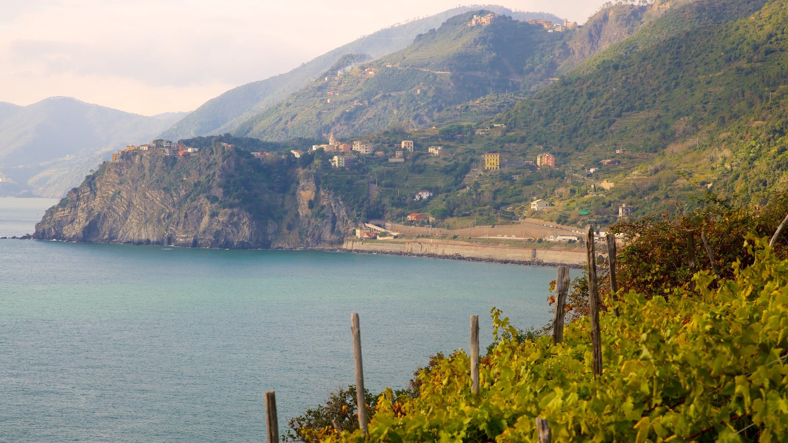 Manarola which includes mountains, landscape views and general coastal views