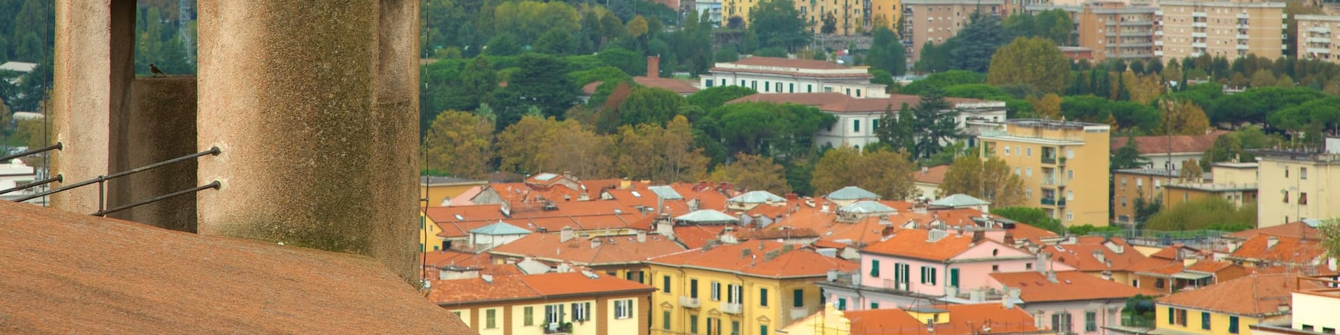 Castello San Giorgio featuring a city