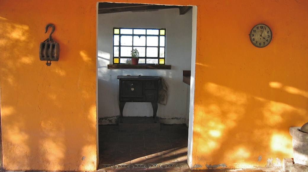 Mendoza Wine Region showing a house and interior views