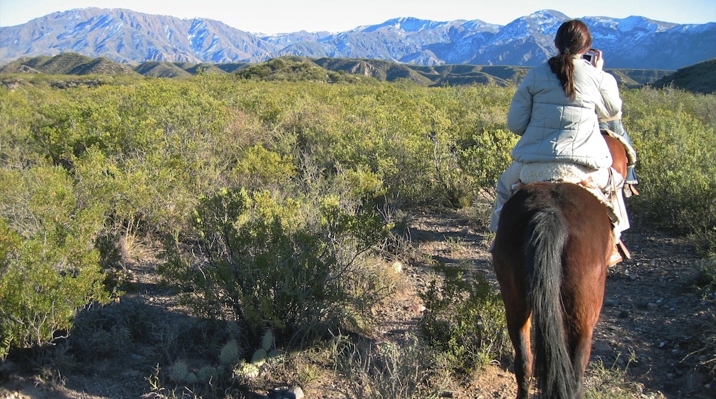 Weinanbaugebiet Mendoza das einen Berge, Reiten und Landtiere