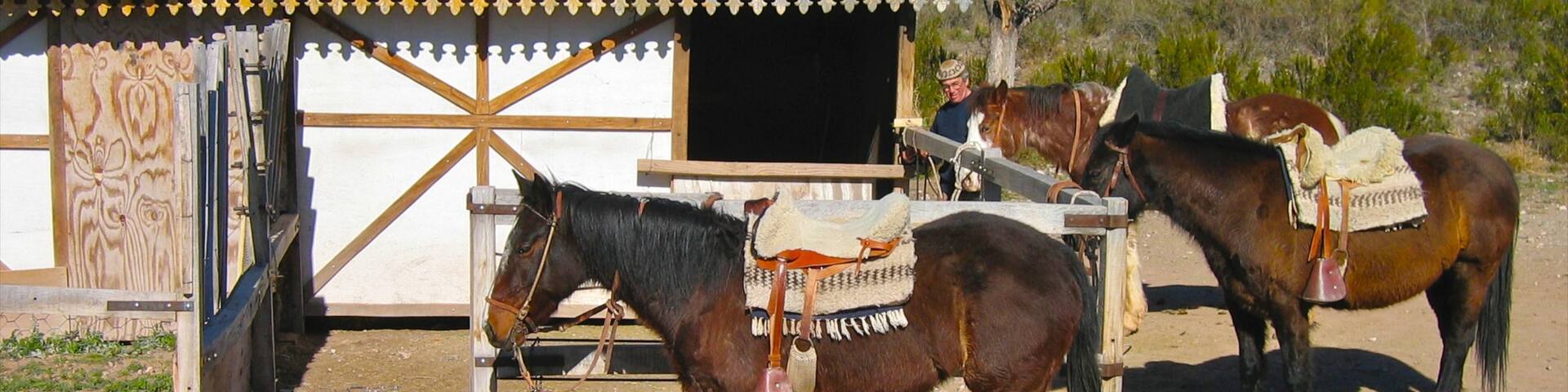 Vignoble de Mendoza montrant maison, animaux terrestres et scĂšnes tranquilles
