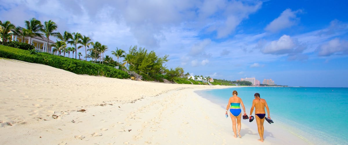 Cabbage Beach showing landscape views, a beach and tropical scenes