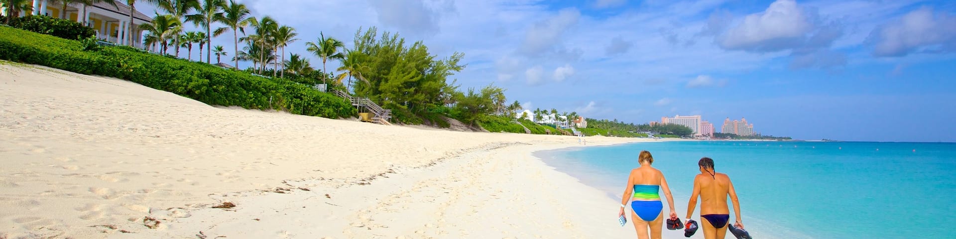 Cabbage Beach which includes landscape views, tropical scenes and a sandy beach