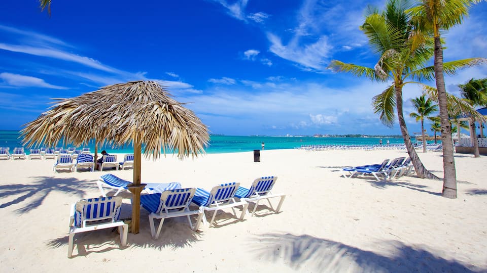 Cable Beach qui includes plage de sable, panoramas et scènes tropicales