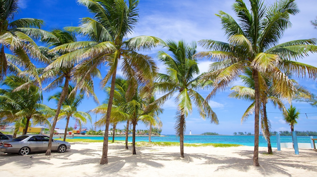Cayo Arawak ofreciendo una playa de arena, escenas tropicales y una ciudad costera