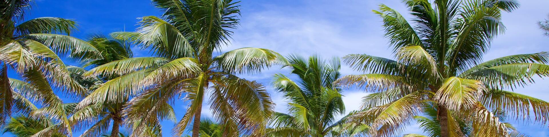 Arawak Cay featuring a coastal town, tropical scenes and a beach