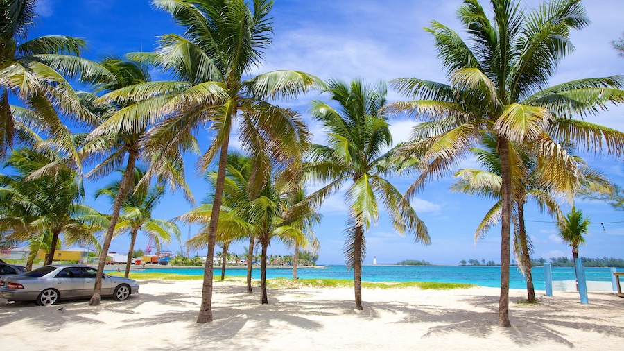 Arawak Cay showing a beach, tropical scenes and a coastal town