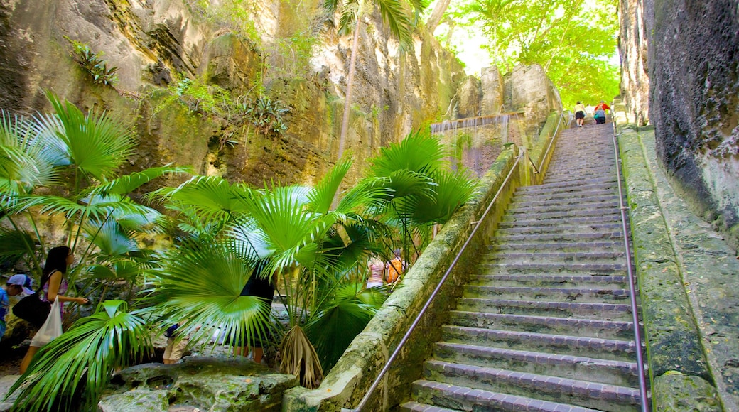 Queen's Staircase