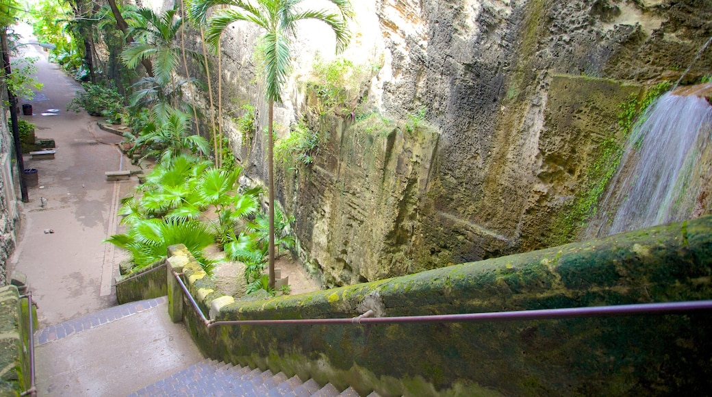 Queen\'s Staircase featuring tropical scenes and a waterfall