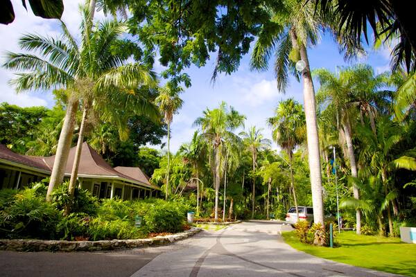 The Retreat Garden National Park featuring a house, tropical scenes and a garden