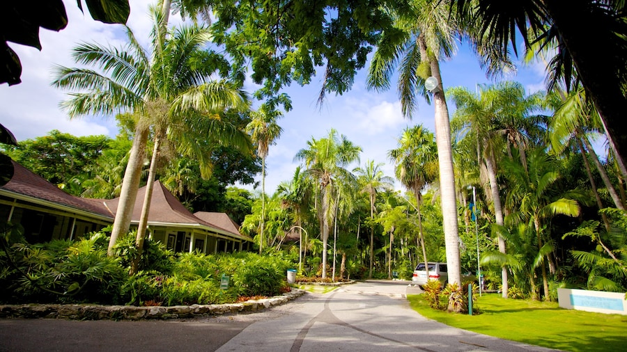 Parque Nacional Jardín de Retiro ofreciendo escenas tropicales, una casa y un jardín