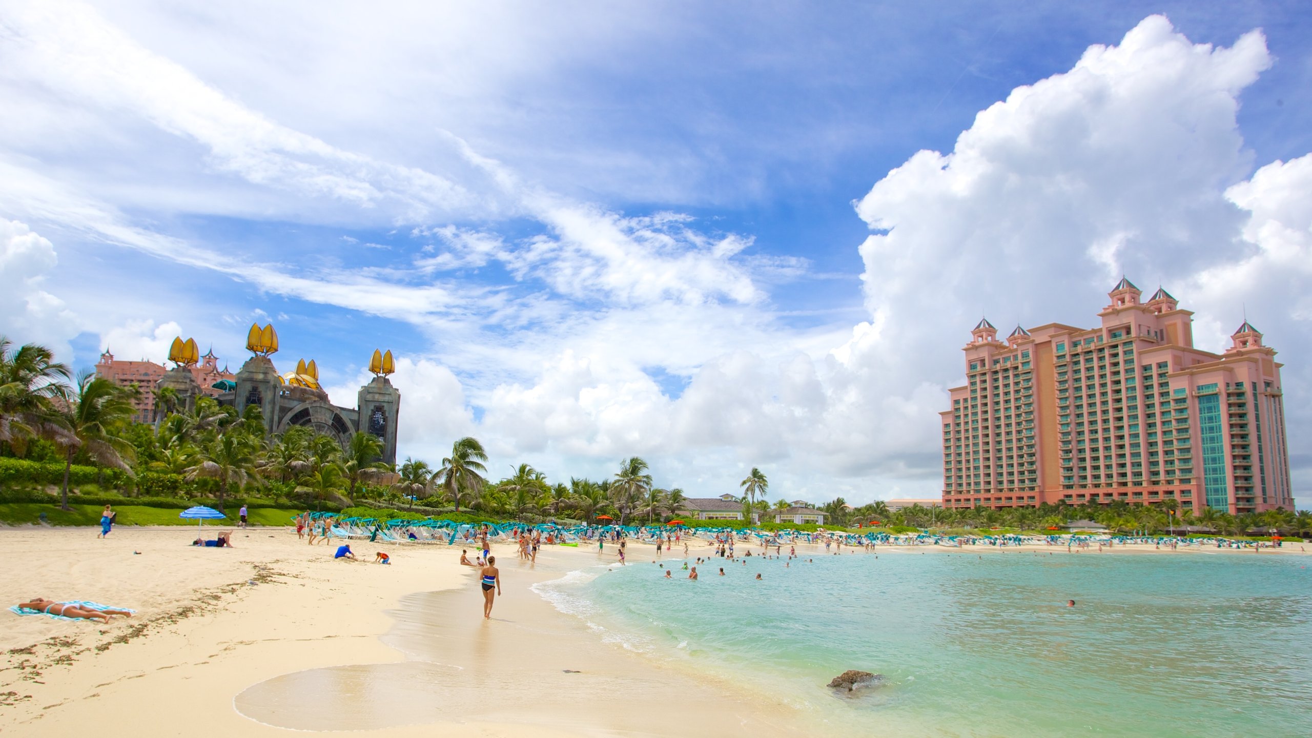 Paradise Island – Travel guide at Wikivoyage