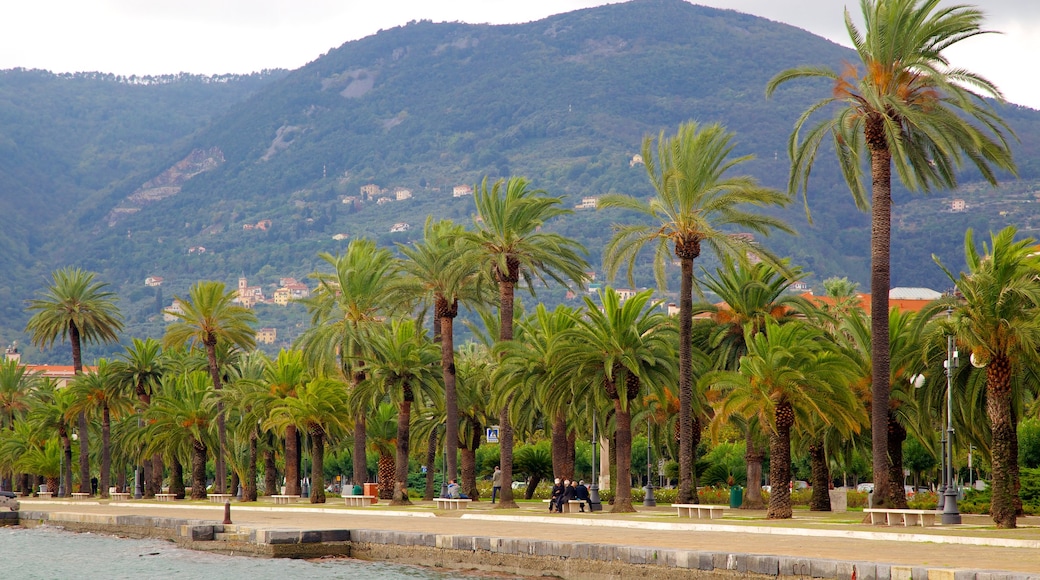 Ferry Terminal which includes tropical scenes and mountains