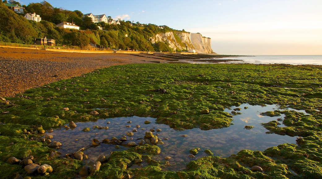 Dover mostrando vista panorámica y una playa de piedras