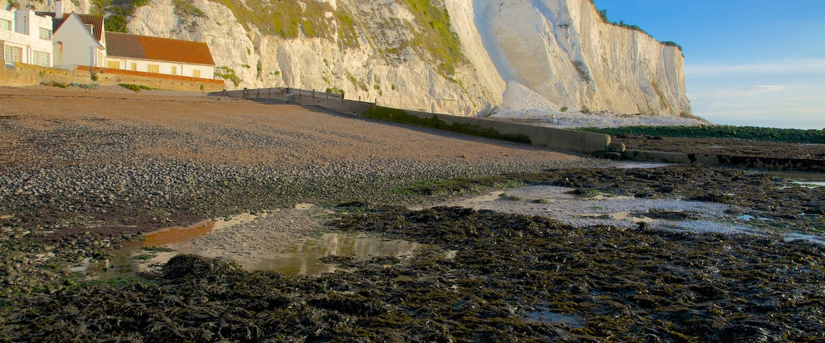 Dover which includes a house, rugged coastline and a pebble beach