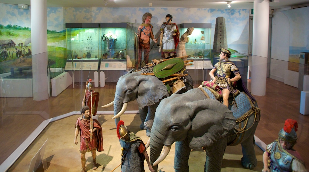 Muzium Dover