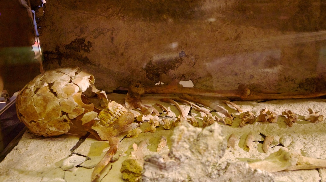 Lullingstone Roman Villa showing interior views