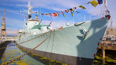 Historic Dockyard Chatham showing a marina and boating