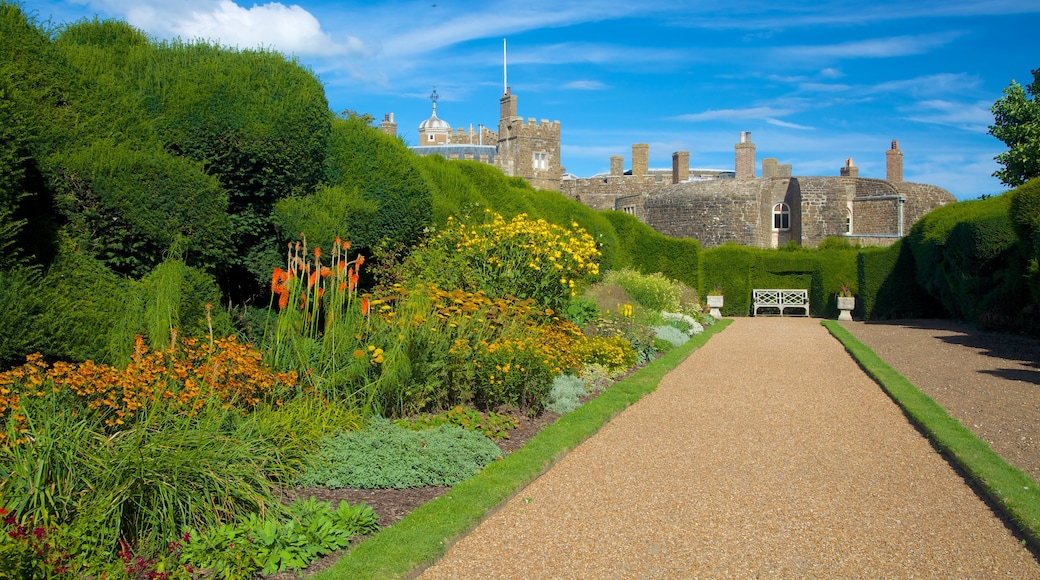 Walmer Castle and Gardens showing a park, heritage architecture and flowers