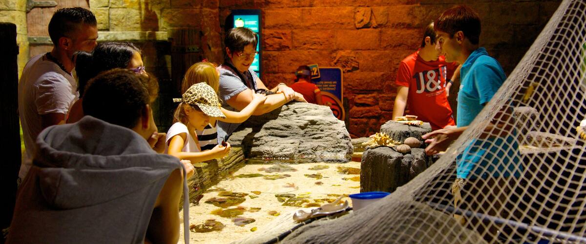 Sea Life Aquarium mit einem Innenansichten und Meeresbewohner sowie Kinder