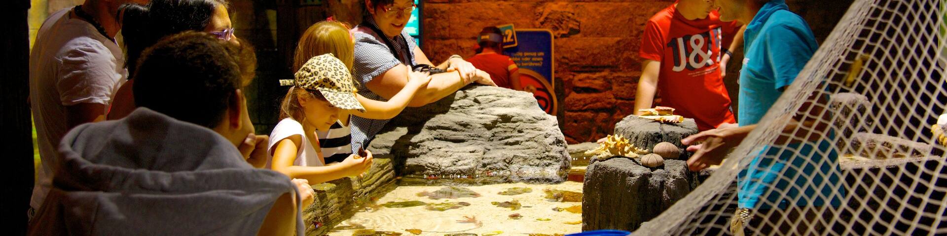 Sea Life Aquarium which includes interior views and marine life as well as children