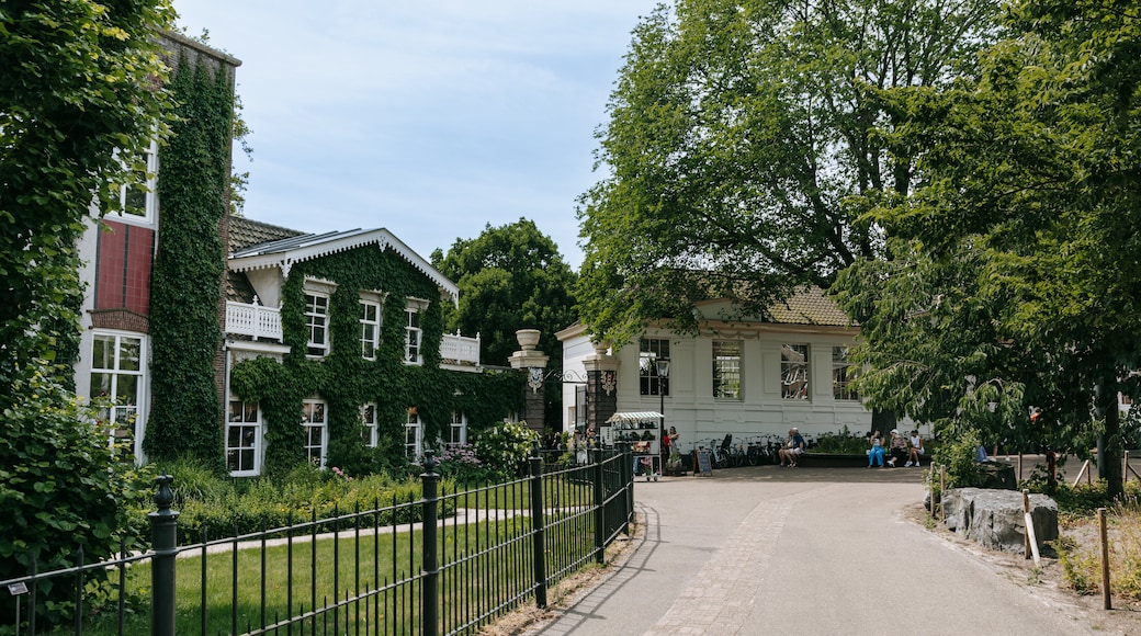 Hortus Botanicus showing a small town or village