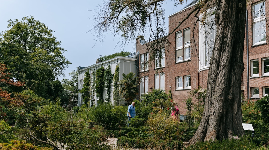 Hortus Botanicus featuring a park
