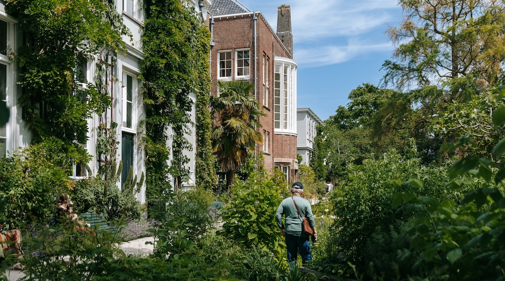 Trung tâm Amsterdam