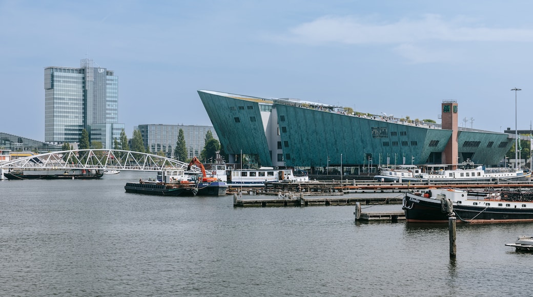 Musée scientifique NEMO
