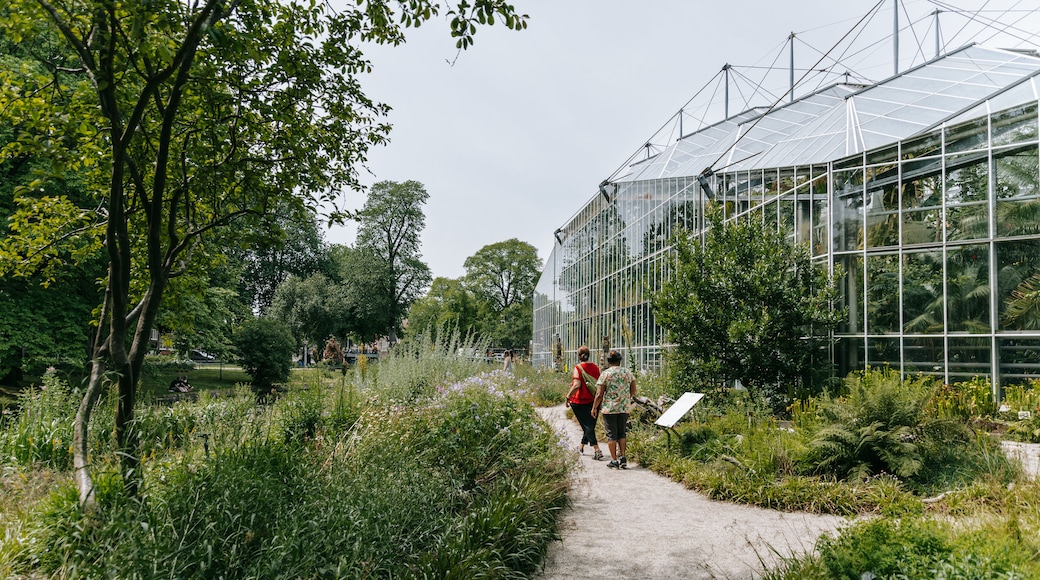 Hortus Botanicus showing a park