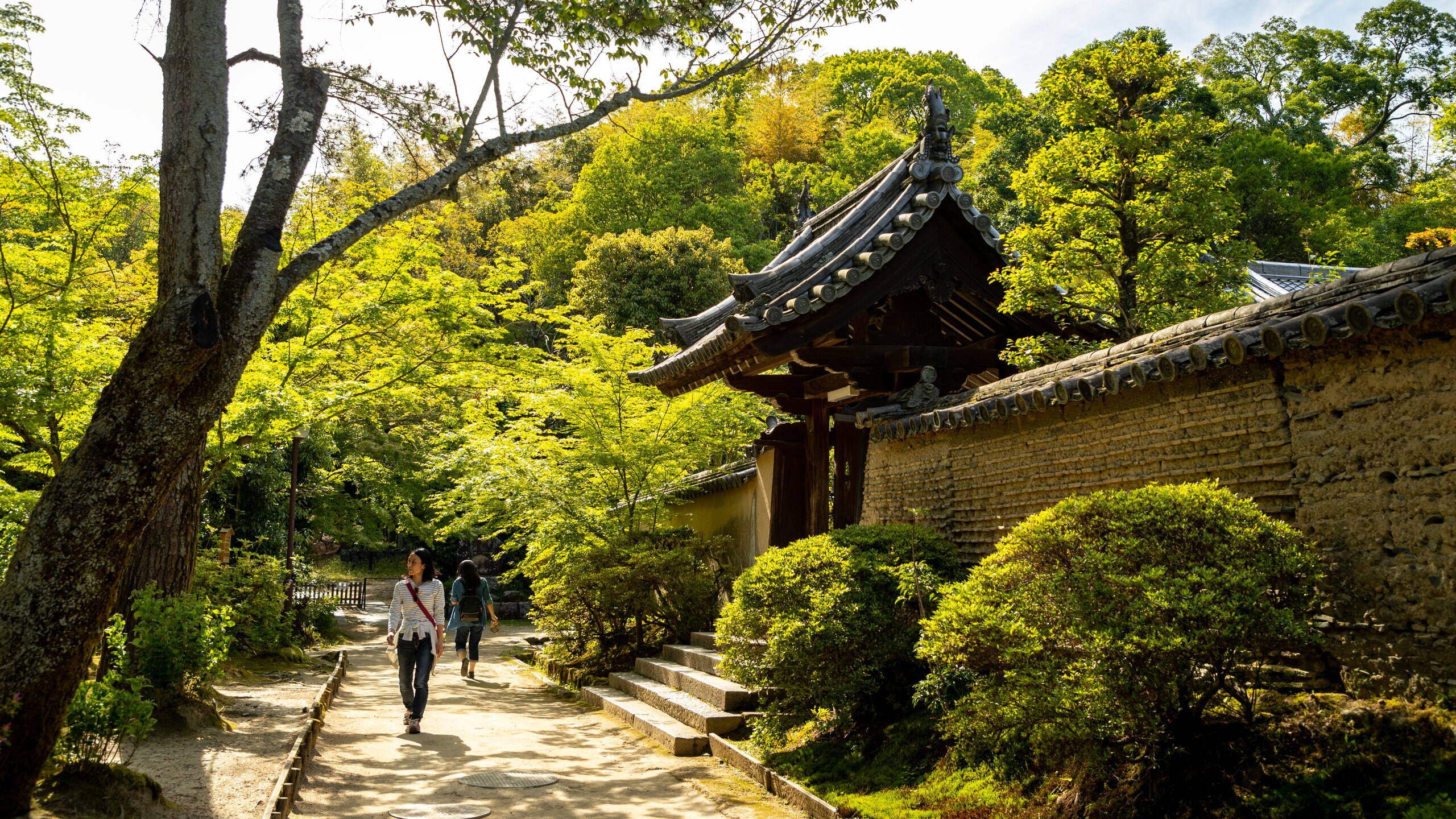 Nara featuring heritage elements and a garden as well as an individual femail