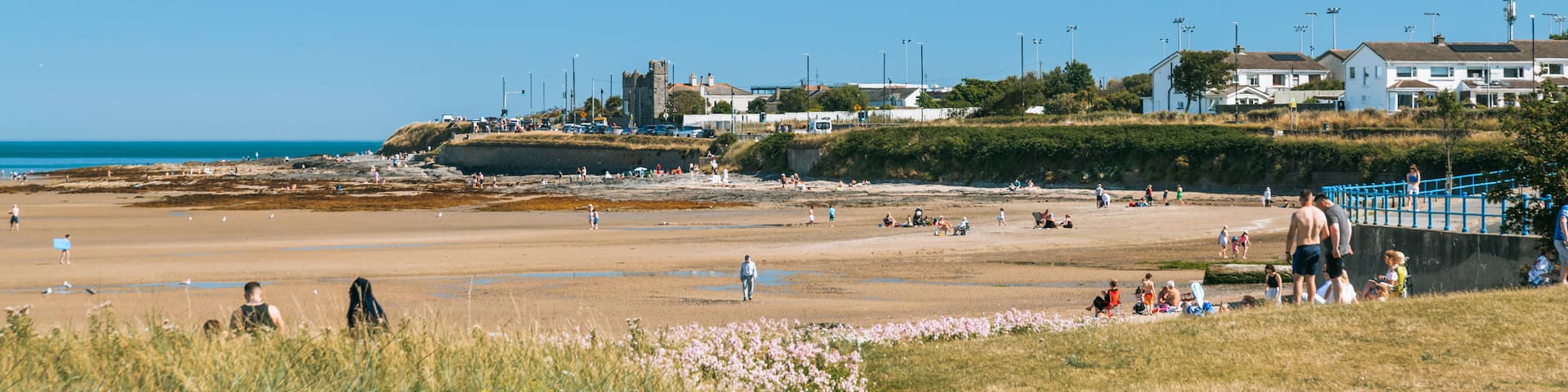 Malahide Beach showing general coastal views and a sandy beach